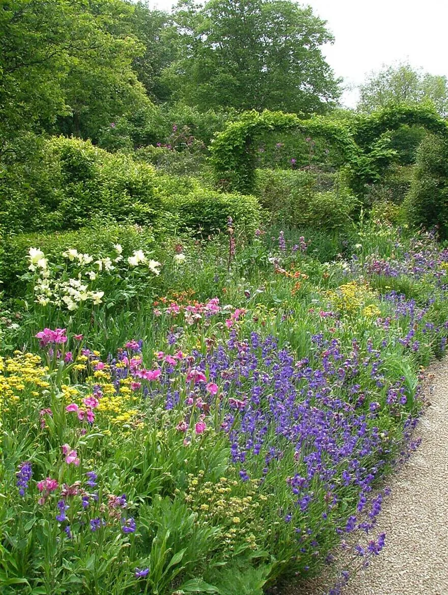 Portrait image of a garden showcasing Integrated Pest Management with beneficial insects and pest control tools in natural morning light